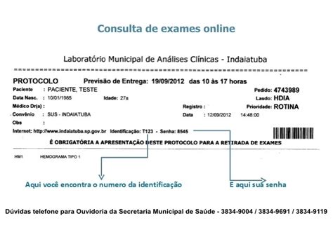 Consulta de Resultado de Exames Laboratoriais .